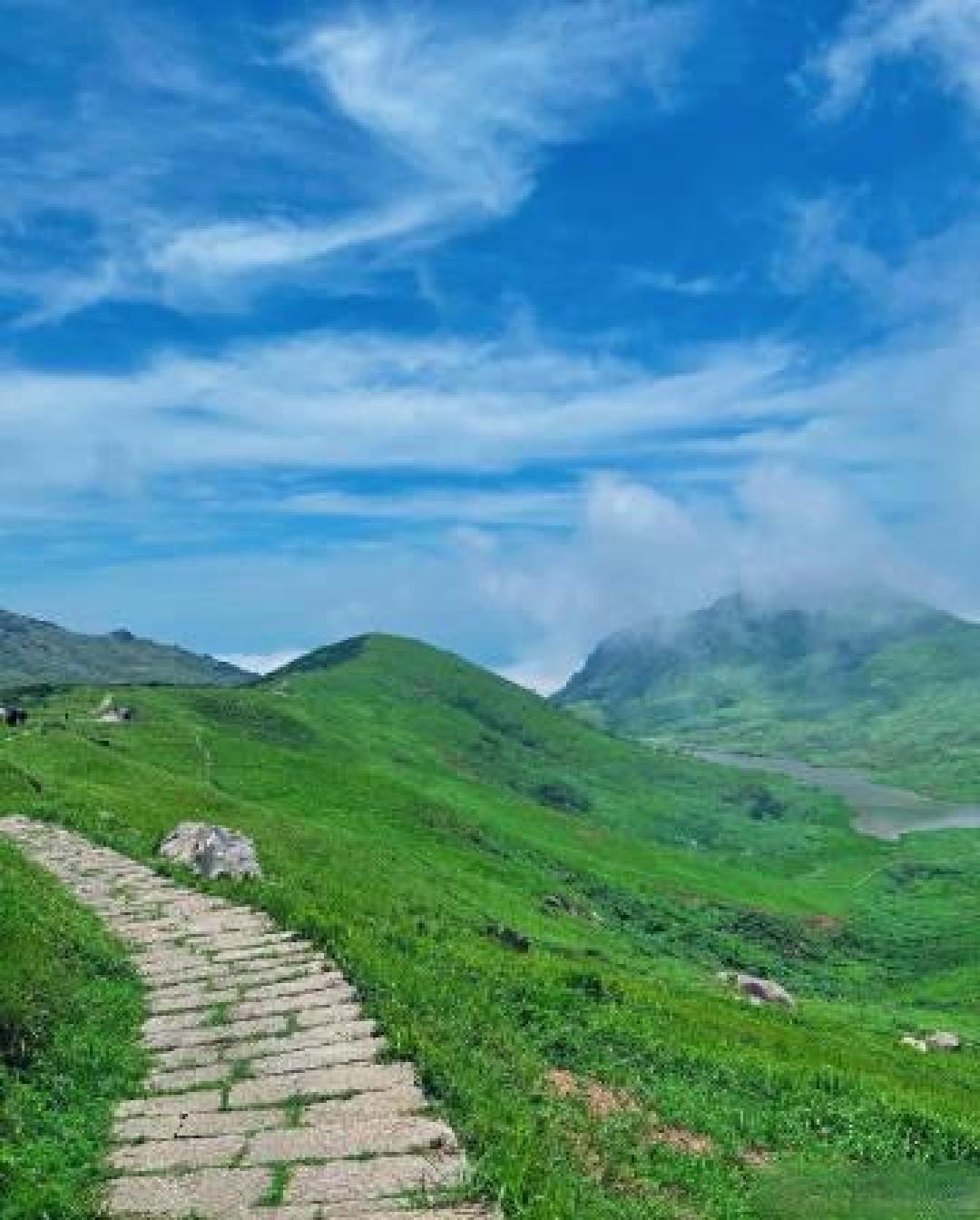 福建“小阿勒泰”全攻略:从万亩草甸到海上天湖,治愈你的不止是风景