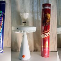 川崎这五款羽毛球三个月实战笔记：从“试试看”到“囤十桶P65”