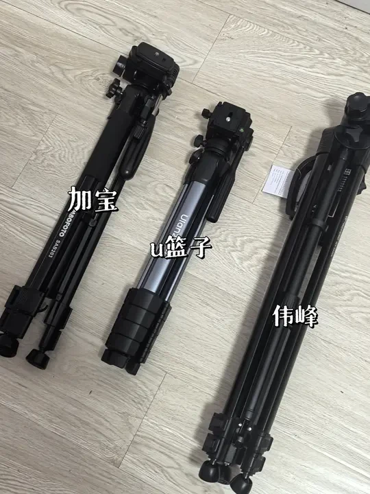纯自费｜新手百元相机支架📸细致测评