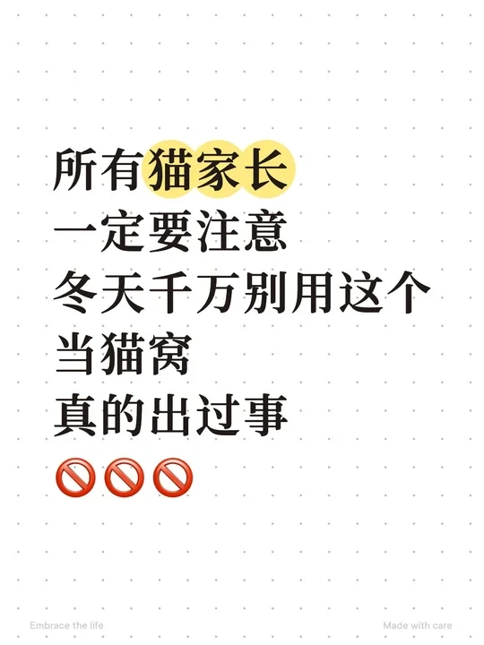 冬天千万别再给猫用“这个”当猫窝