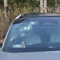 车内勿放玩偶挂饰，安全隐患需警惕