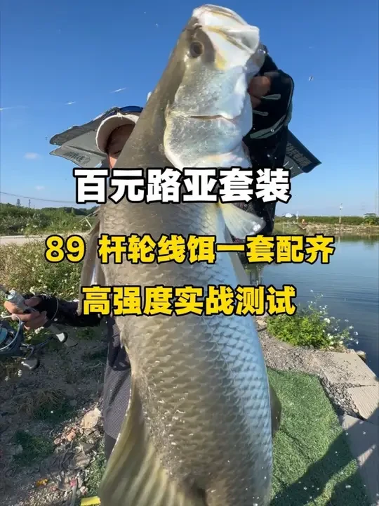 一个视频看懂路亚怎么玩，杆轮线饵都配齐了，发顺丰快递，到手就能玩，路亚新手放心冲#路亚竿 #路亚 #路亚教学 #钓鱼 #微物路亚