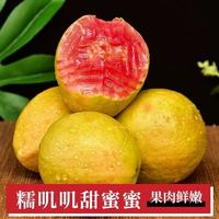 广西红白双拼芭乐！软心爆汁太绝了😭 新鲜到像刚摘的