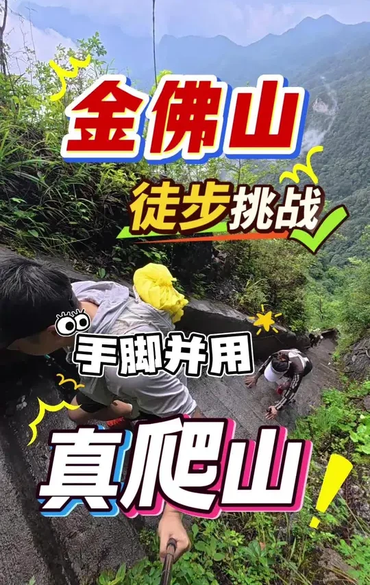 一直以为金佛山就只有山顶的那些耍事，没想到金佛山登山过程也这么有意思，有难度，有风景，还很凉快，真的是强烈推荐大家来爬山#徒步 #旅行推荐官 #避暑好去处 #重庆避暑 #重庆爬山