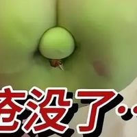痔疮反复 3 年，我用这 30 天把肉球送走了