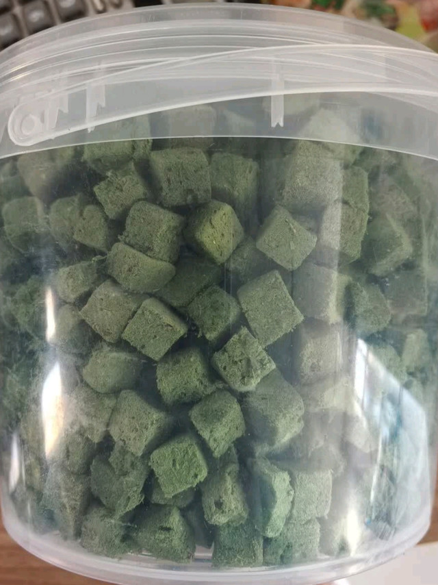 双旦入手宠非凡猫草冻干，轻松解决猫咪化毛烦恼