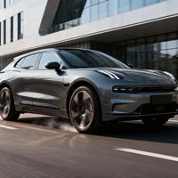 极氪9X是豪华新标杆还是过度包装？1000+用户观点大碰撞