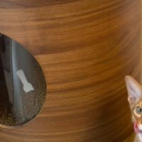 阿比自用好物分享