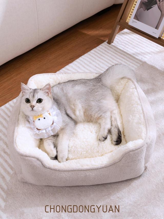 怕冷修勾速入｜软乎乎小窝，保暖值拉满🐾