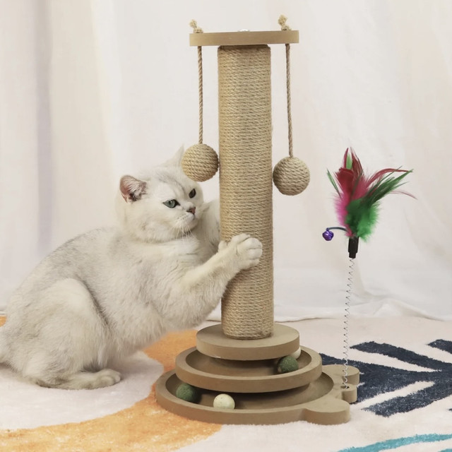 双层爪板与转盘吸引猫咪扑玩