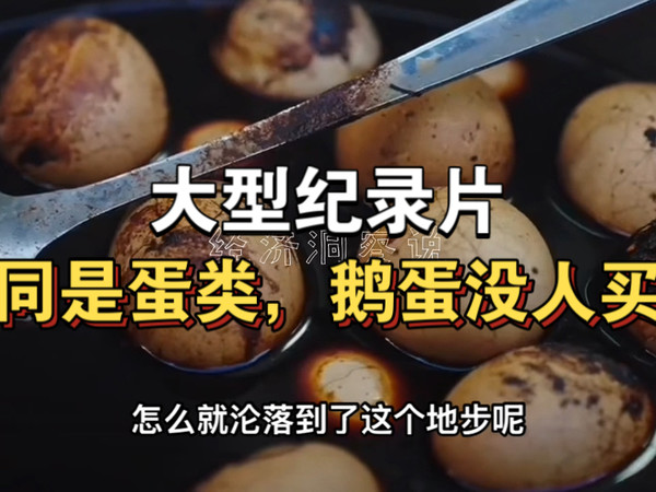 大型纪录片《同是蛋类，鹅蛋没人买》持续为您播出！！