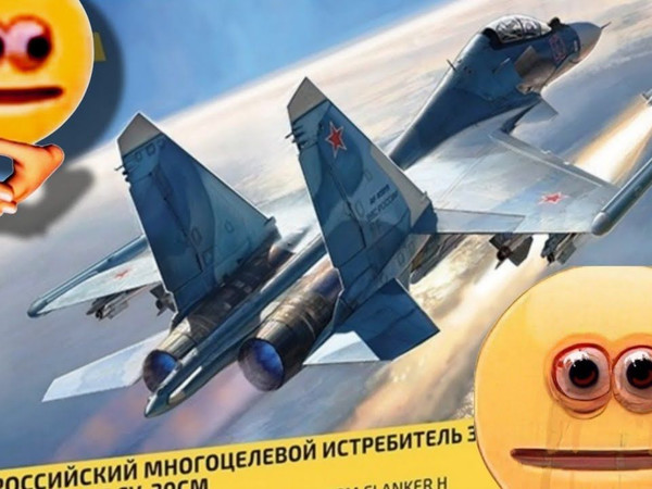 红星 1/48 SU-30SM战斗机模型 | 制作后评价