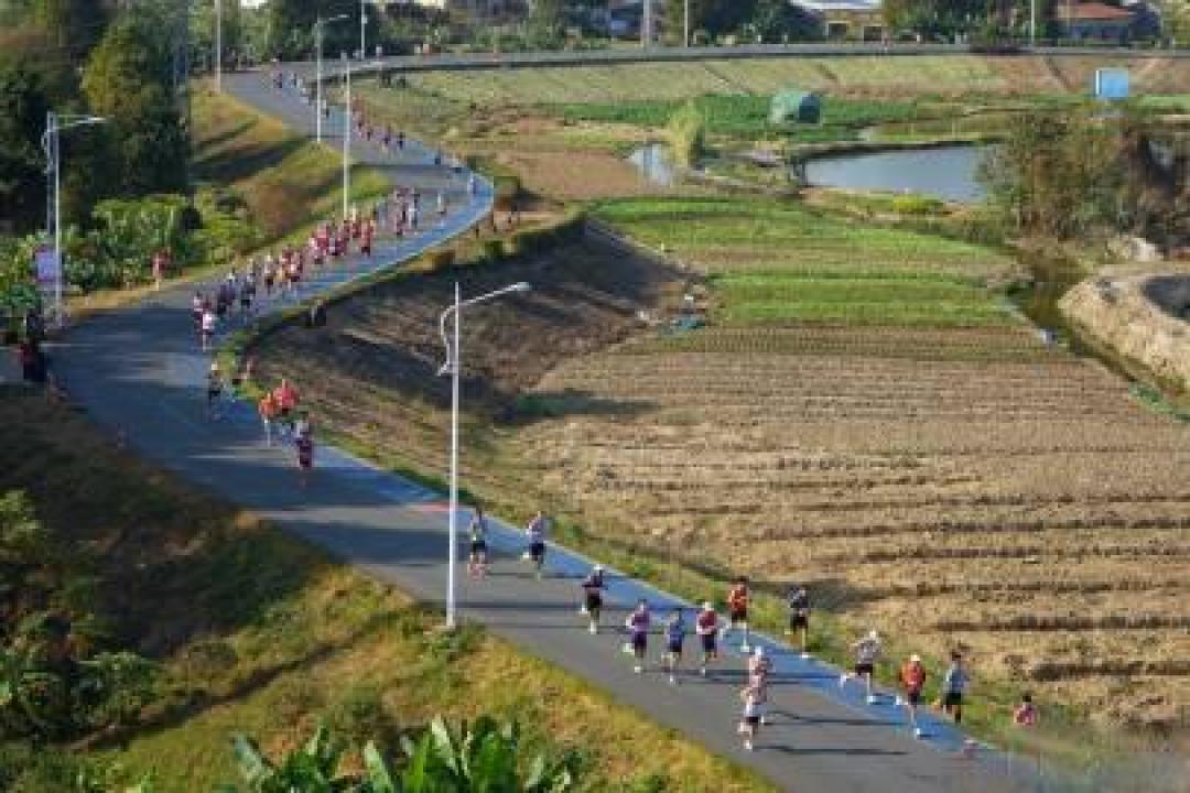 2026容桂马拉松定档:跑最好吃的PB赛道,完赛抽电饭煲盲盒