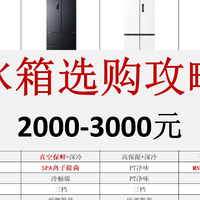 预算两三千冰箱避坑指南，零嵌非零嵌选对才值！