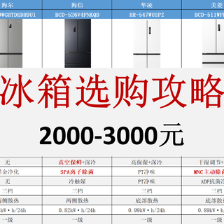 预算两三千冰箱避坑指南，零嵌非零嵌选对才值！
