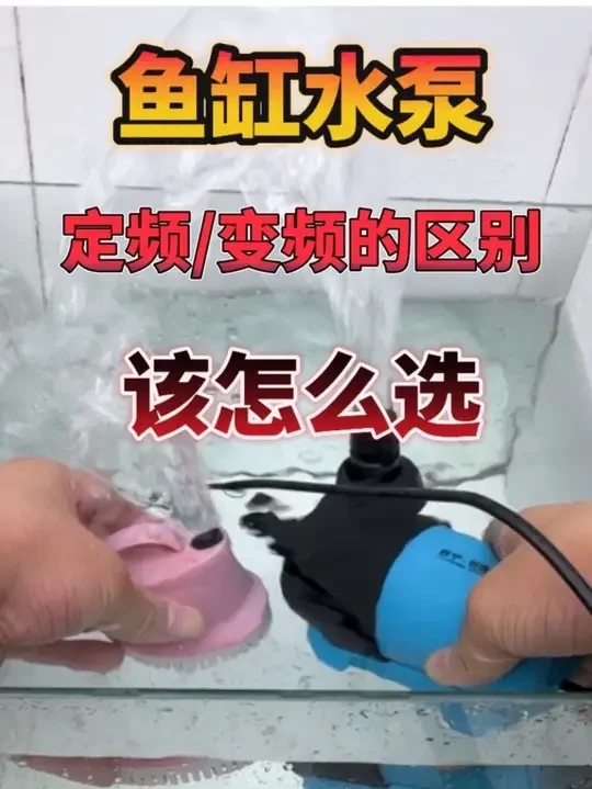 变频泵跟定频泵有什么区别？应该怎么选？ #鱼缸水泵 #鱼缸变频水泵 #创宁水泵 #创宁变频水泵