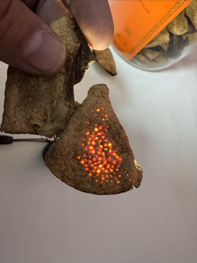 岭南新宝堂花果茶