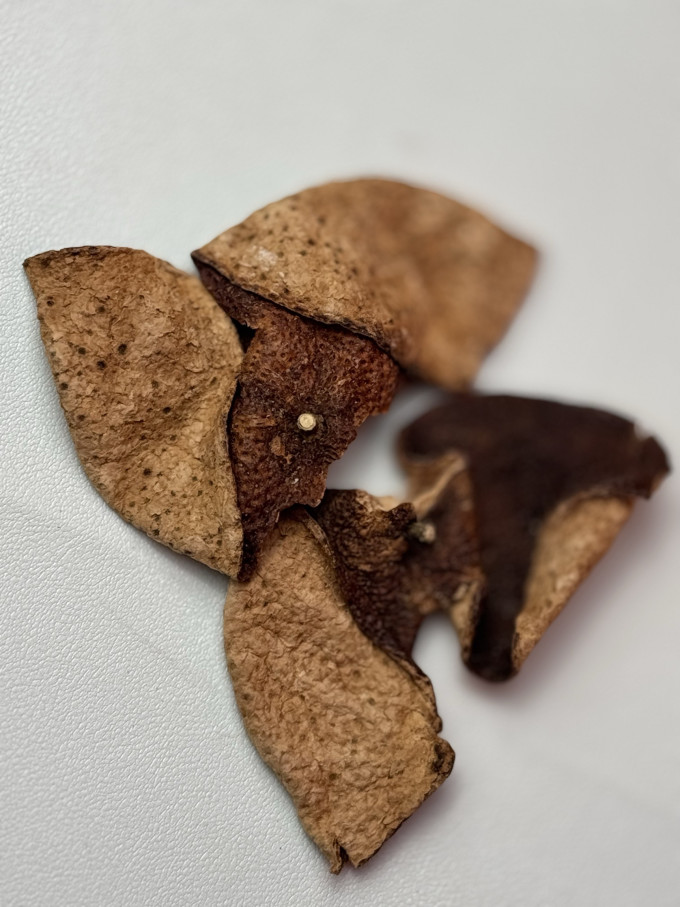 岭南新宝堂花果茶