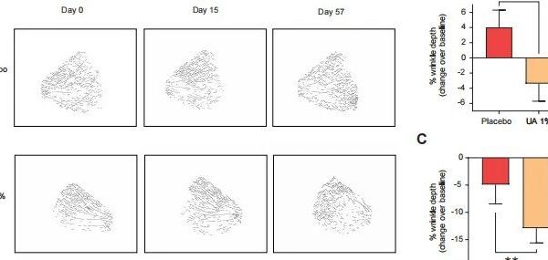 成分党丨尿石素A-护肤界潜力新星