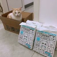 和猫住豆腐猫砂实测！20斤囤货党狂喜，低粉尘+强除臭太香了🐱
