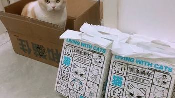 和猫住豆腐猫砂实测！20斤囤货党狂喜，低粉尘+强除臭太香了🐱