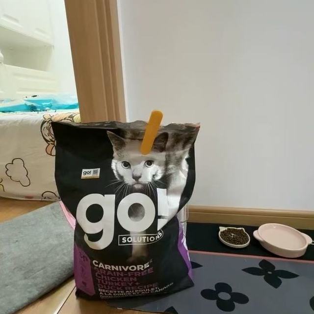 GO猫粮7.26kg 宠主实测！我家猫从“小尖脸”到“圆胖脸”的秘密
