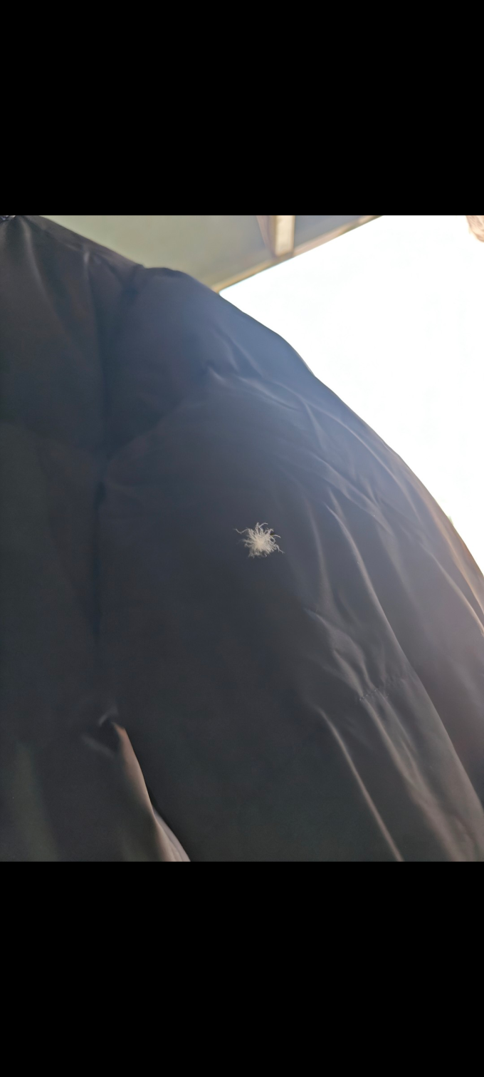 雪中飞男士羽绒服