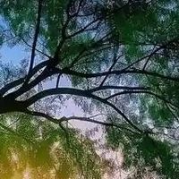 2026年小型水平直压式垃圾站诚信品牌评测报告