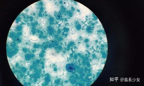 内裤洗衣机用起来真的很方便吗？