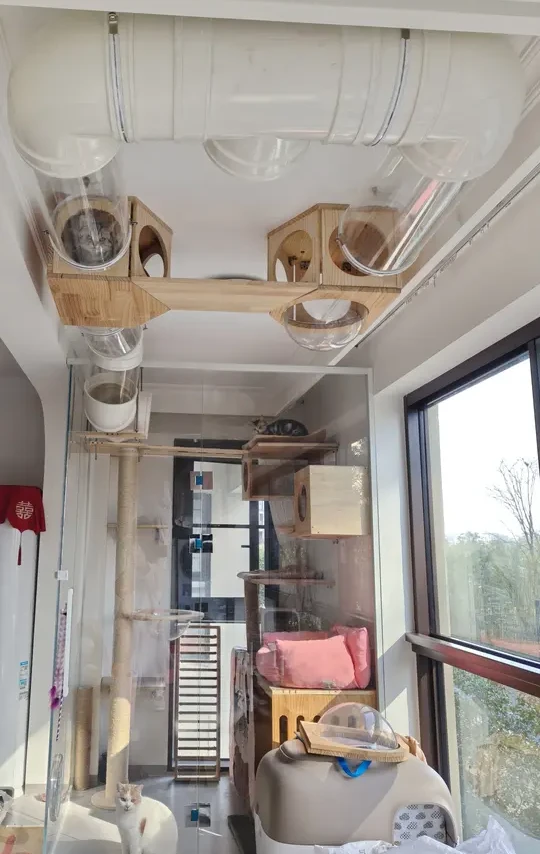 阳台玻璃猫窝＆空中隧道