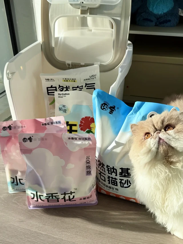 猫砂分享丨来看看2025年小猫严选🐱🐱