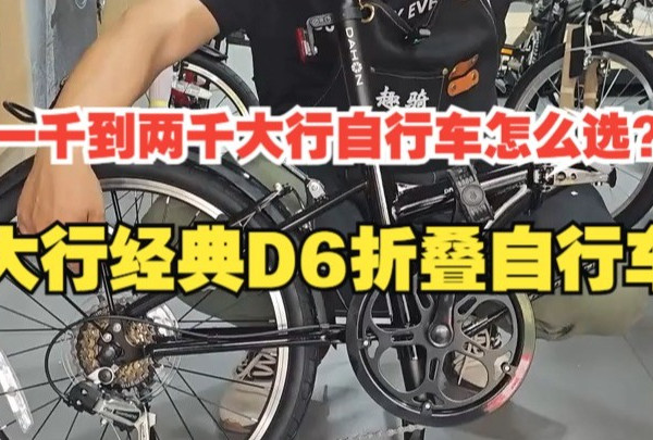 一千到两千大行自行车怎么选？大行经典D6折叠自行车！