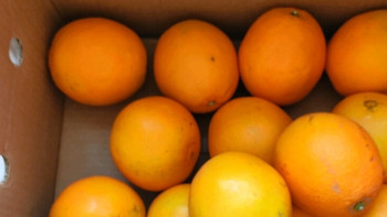 京鲜生 江西赣南脐橙 净重8斤 单果150g+ 水果年货礼盒