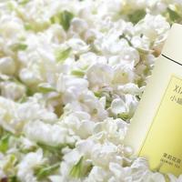 常喝茉莉花茶到底有多治愈？好处和注意事项一次说清楚