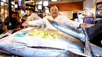 金枪鱼首拍创历史最高价，一条鱼卖出2271万人民币！ 