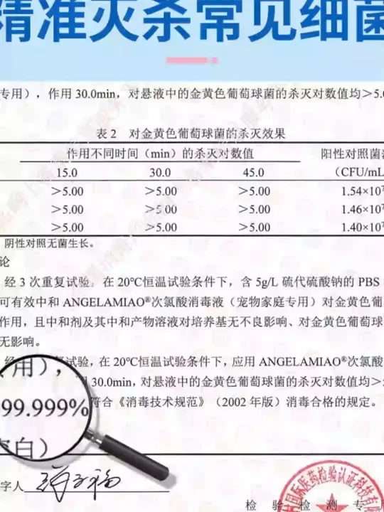 宠物次氯酸消毒液猫咪狗狗家庭环境空气猫砂狗窝杀菌除臭喷雾#宠物消毒液 #杀菌除臭 #家庭清洁 #宠物用品 #次氯酸