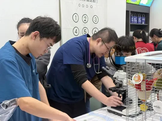 义卖领养公益活动总结——宠物医院可以做的事