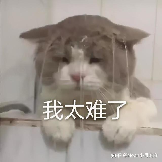 用福库高压电饭煲煮饭，最直观能感受到的差异是什么？是更香、更软，还是更安心？