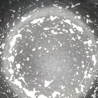 测评荟 篇零：进口的电饭煲动不动上千，真的好吗？和一两百的有什么区别？