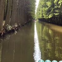 超牛！电动窗帘品牌推荐，颠覆你对窗帘的认知