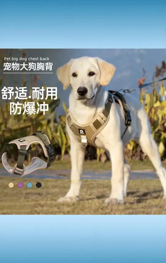 狗狗防爆冲背心式胸背户外金毛拉布拉多中大型犬狗绳牵引绳 #狗狗防爆冲胸背 #中大型犬牵引绳 #金毛拉布拉多胸背 #户外狗绳牵引 #背心式胸背带