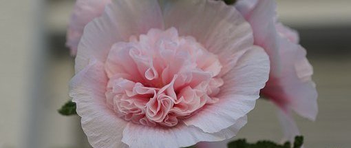 口碑最好的学生洗面奶推荐