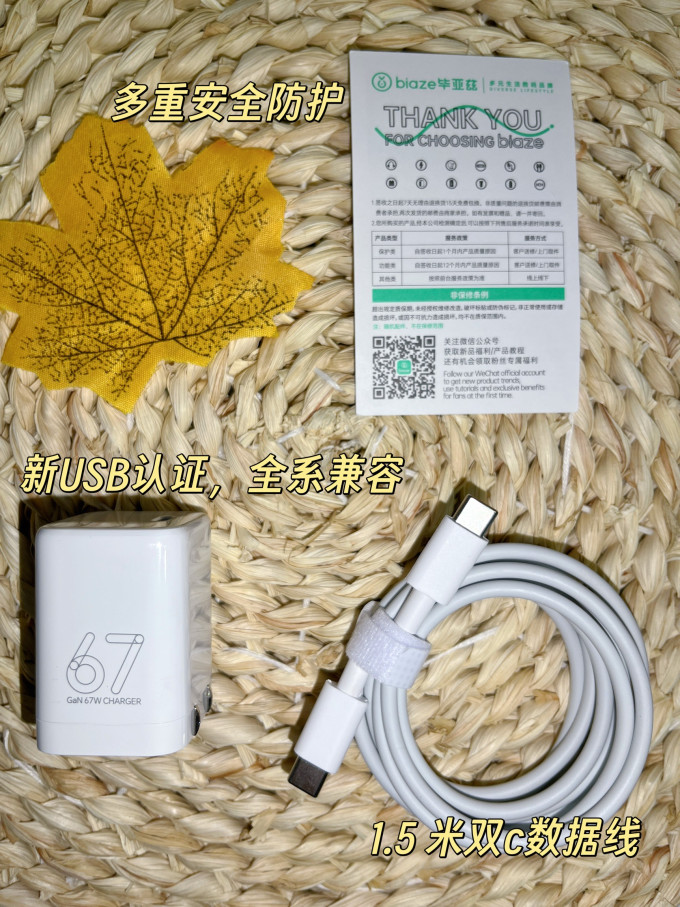 毕亚兹充电器