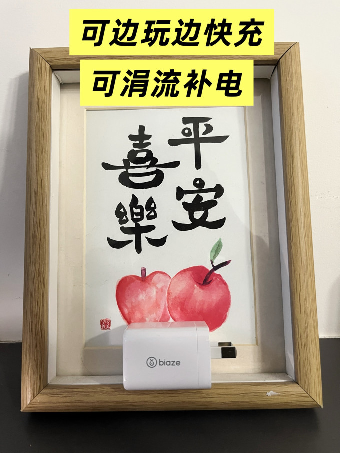 毕亚兹充电器