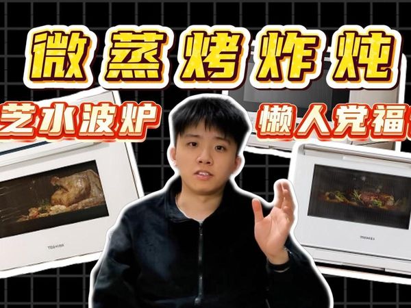 水波炉怎么选？东芝水波炉盘点，烘焙糕点面点，空气炸锅，薯条炸鸡烤鸡，小白梨SD80Pro|D4000|大白茶ProT500B