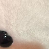 户外露营装备选购指南，新手也能避坑不踩雷