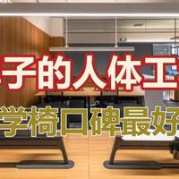 提升生活品质 篇零：什么牌子的人体工学椅好？人体工学椅口碑最好的十款