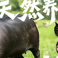 藏在烟火里的时光味，礼赠佳品藏匠心