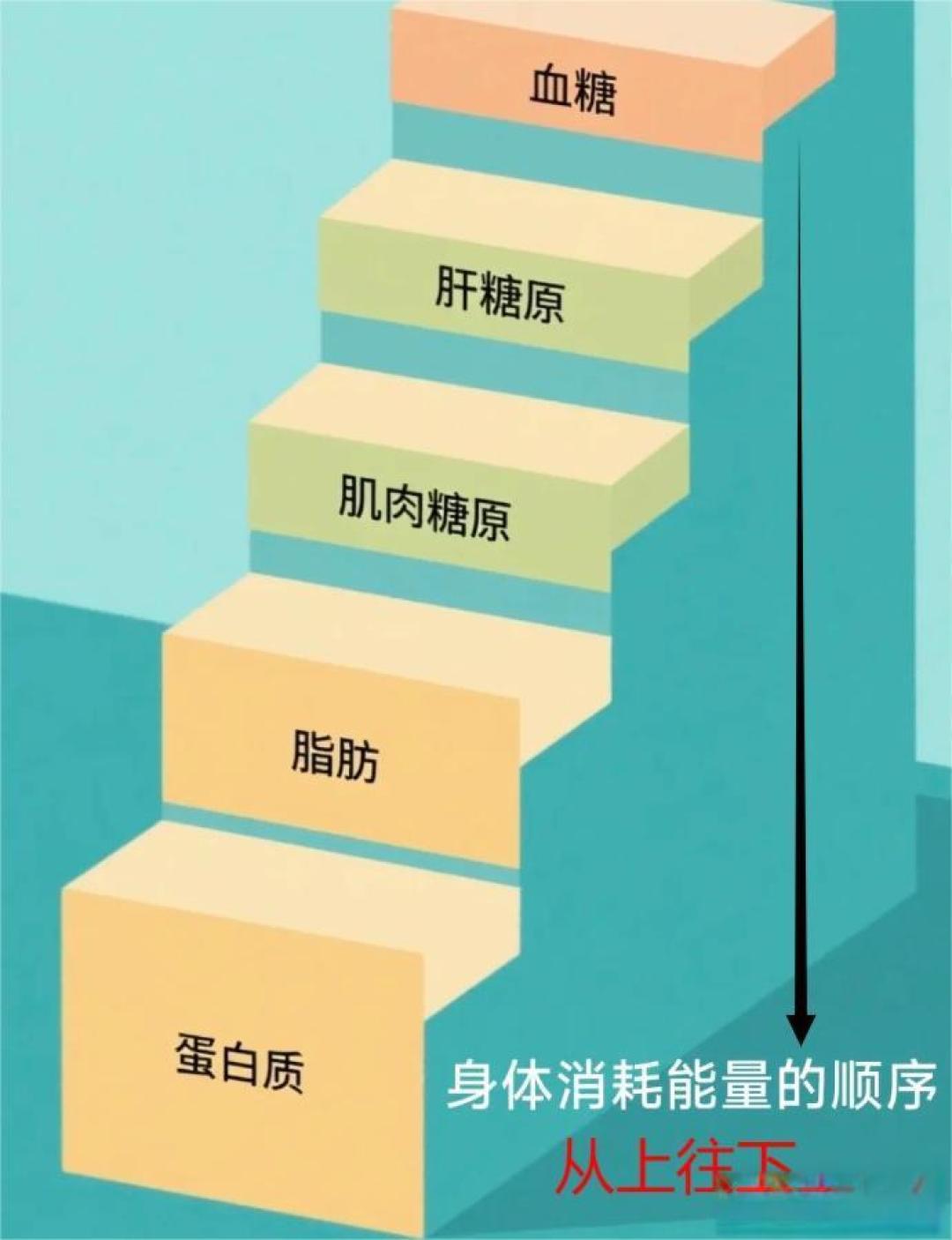 冯提莫瘦50斤导致肚皮松弛：快速减肥的代价远不止于此