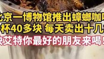 40元一杯蟑螂咖啡谁敢喝！这些昆虫竟从异宠圈跨界餐桌？